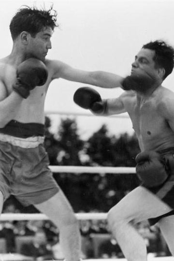 Boxe ao vivo