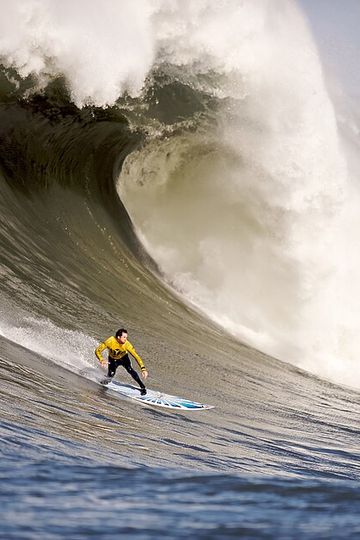 Surfe ao vivo